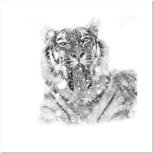 Tiger Snow Posters and Art